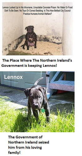  Lennox the Victim of Northern Ireland's Government!