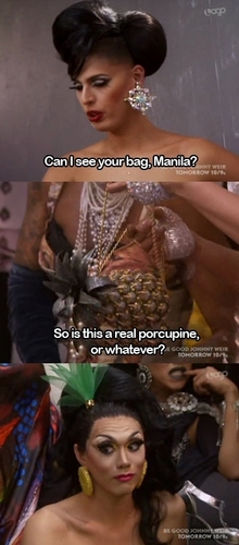  Manila's porcupine?