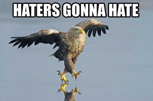 Of Course Haters Hate On Birds