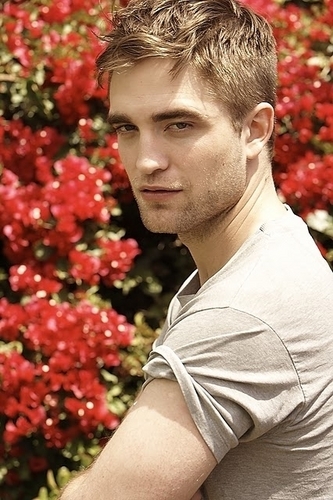  rob with red 花