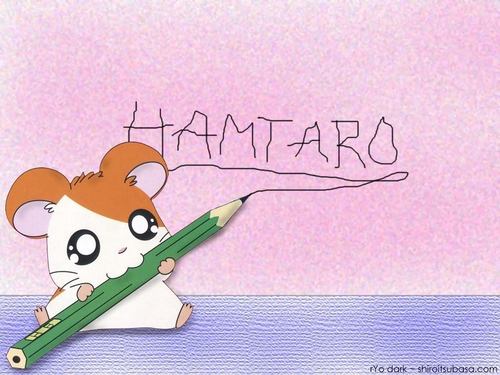  Hamtaro