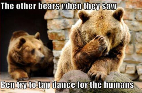 bear funny