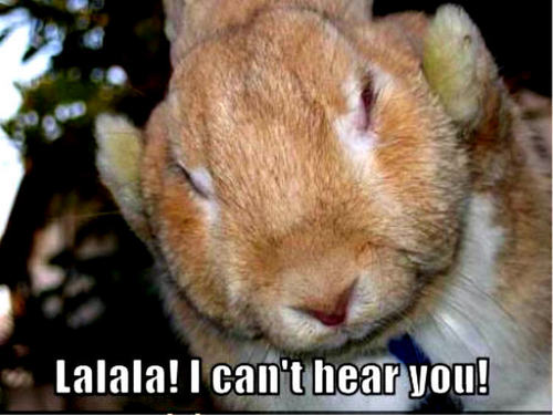  bunny funny