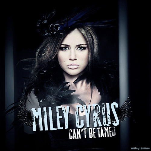 cant be tamed photo shoot