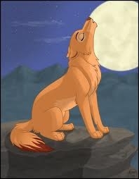  wolf howling