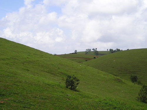  A Greenish Semi холм, хилл of Kerala