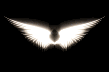  Angel's Wings