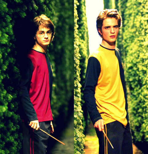  Cedric&Harry