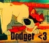  Dodger