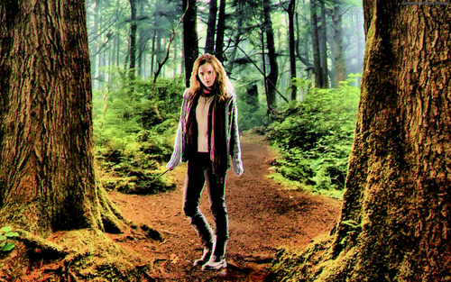  Emma Watson (Hermione) kertas dinding