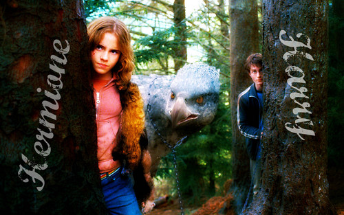  Harry&Hermione