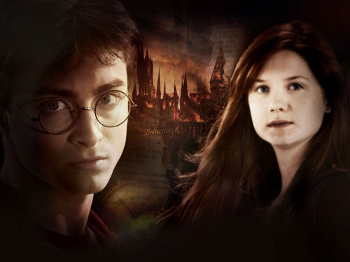  Harry and Ginny