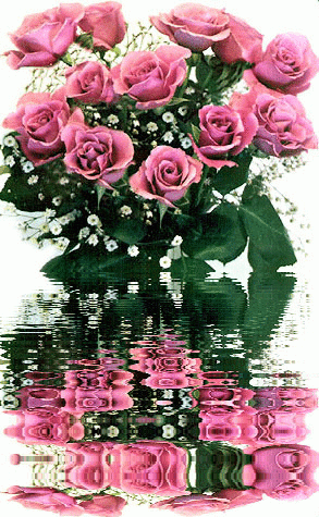 Pink Roses For Dear Susie ♥