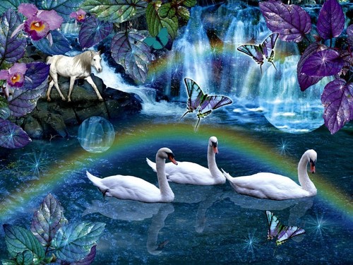 Swan Daydream