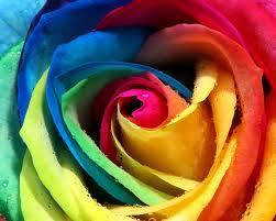  zaidi colorful art