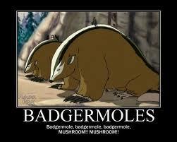  Badgermoles