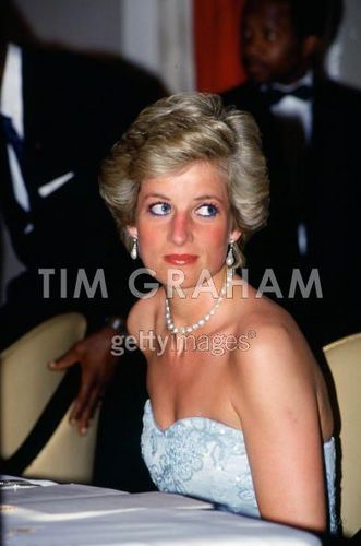 princess diana - Princess Diana Photo (21001078) - Fanpop