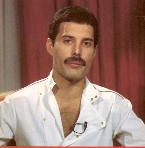 Freddie Mercury(Queen)