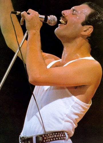  Freddie Mercury(Queen)