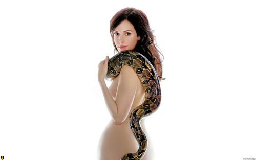  Mary-Louise Parker wallpaper