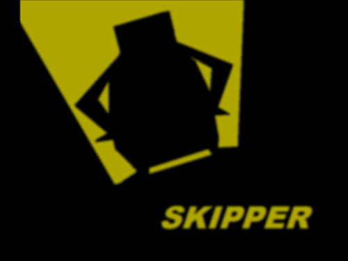  Skipper