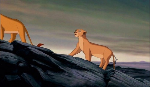  The Lion king 1