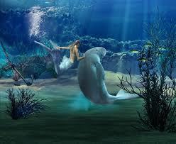  beautiful Meerjungfrauen