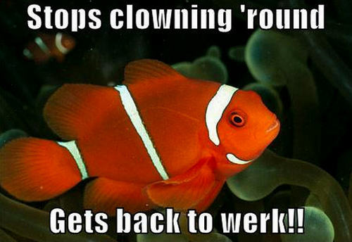  clownfish funny