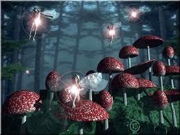  fairys an mushrooms