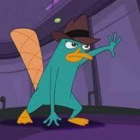  perry the platypus.