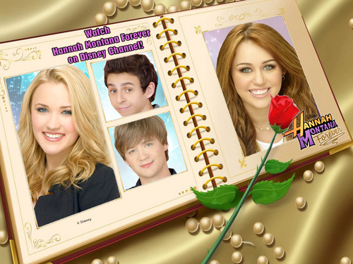  Hannah Montana Forever CaSt Exclusive Disney & Frame Version kertas-kertas dinding sejak dj!!!