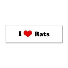 i <3 rats