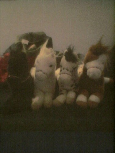  4 Stuffed 马