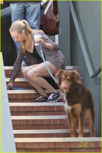  Amanda Seyfried: Coffee & Dog Run
