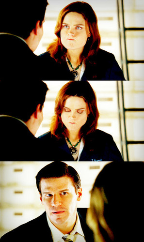  Brennan and Booth