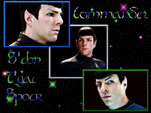  Commander Spock