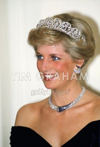Princess Of Wales - Princess Diana Photo (20314675) - Fanpop