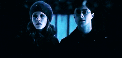 Harry and Hermione♥