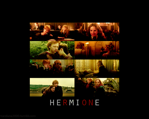  Hermione fã Art