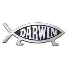  Darwin рыба