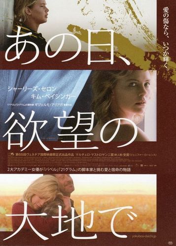 The Burning Plain (2008): Posters & covers