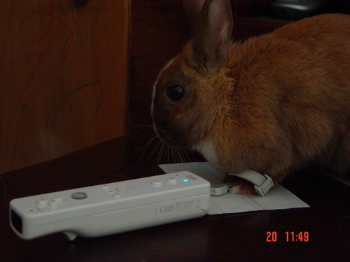  Tribble can play the wii