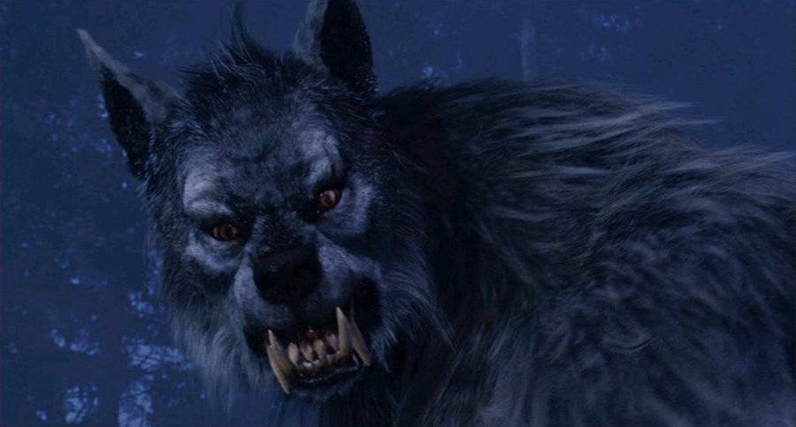 WereWolf - Werewolf Image (20392065) - Fanpop