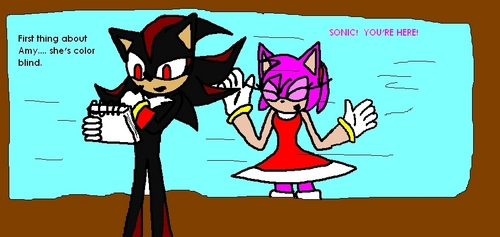  shadow and amy