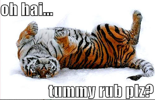 tiger funny