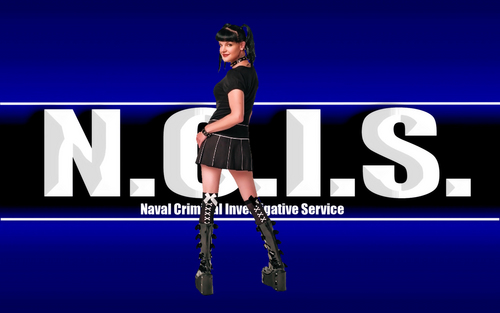  Abby Navy CIS (Pauley Perrette) Hintergrund