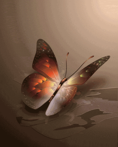  Beautiful Butterfly,Animated