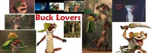 Buck Lovers Club Banner and Icon