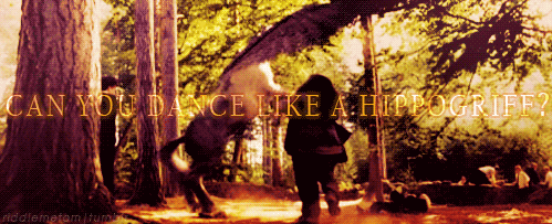 Can You Dance Like A Hippogriff