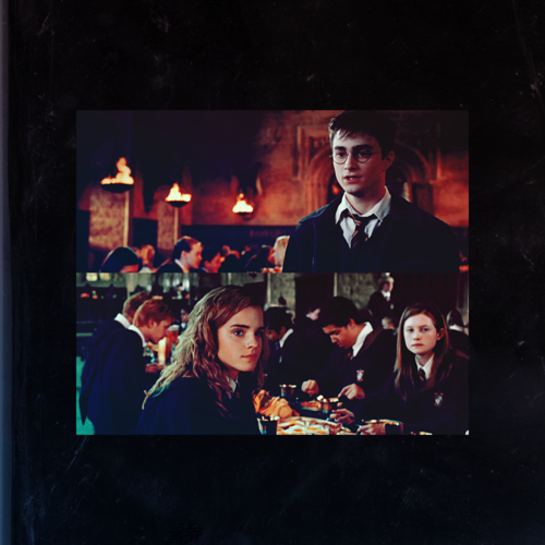 harry e hermione